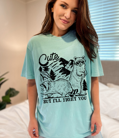 Raccoon Comfort Colors T-shirt